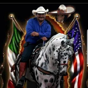 Meet your Posher, Daniel-arely